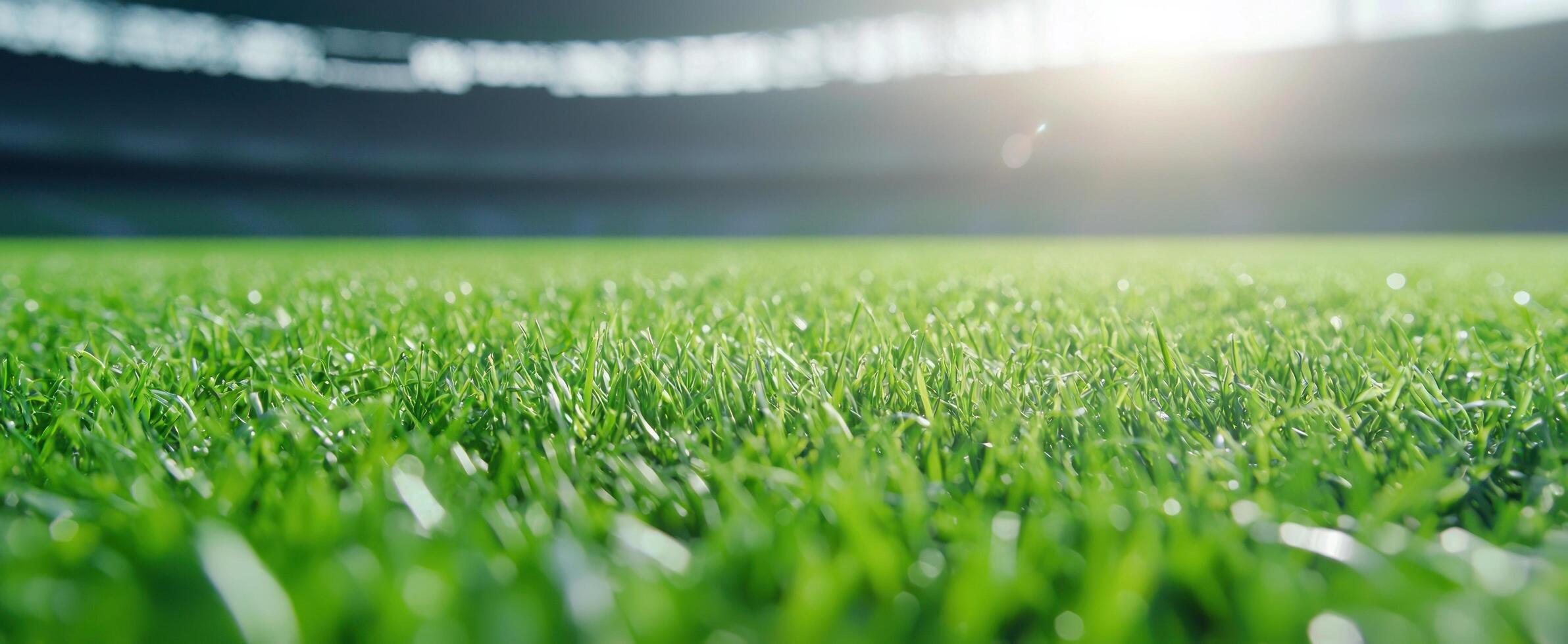 Close up grass in stadium, sun glare, for sports or environmental projects photo