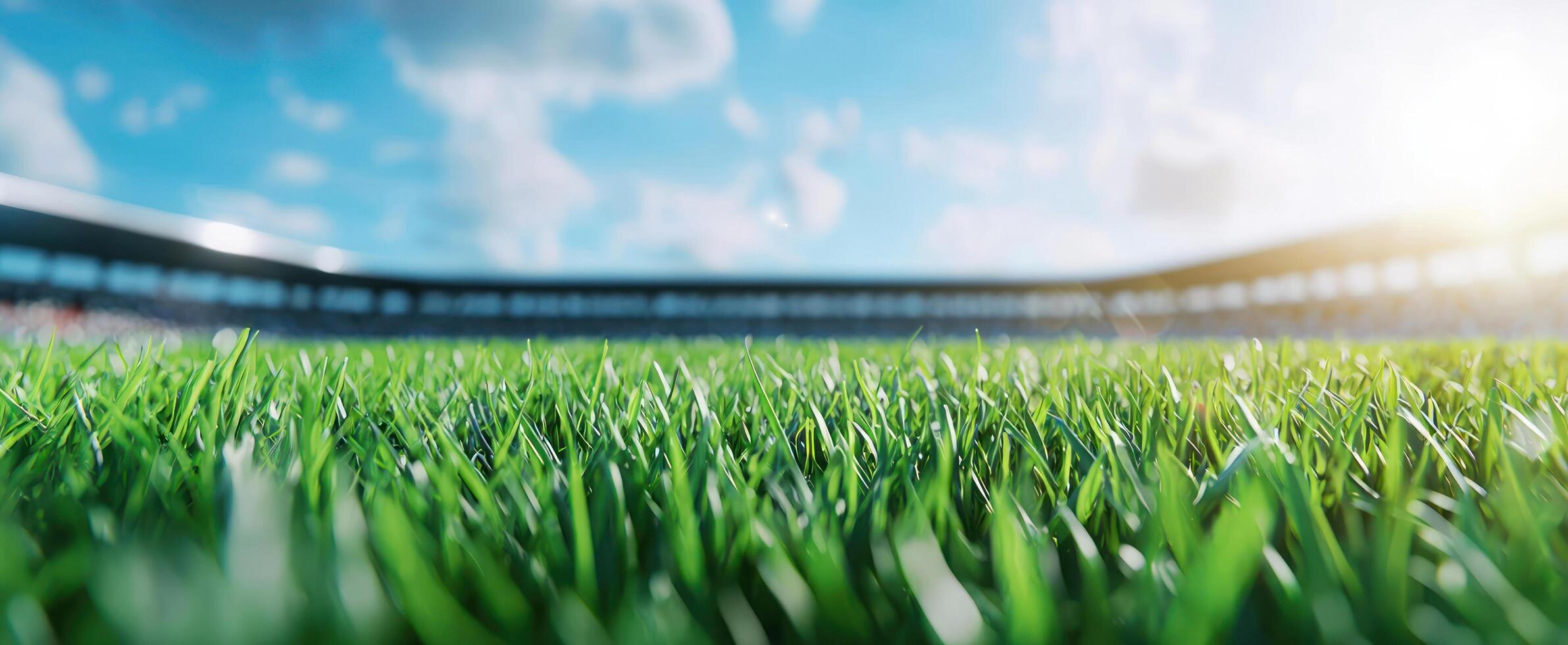 Grass field close-up, stadium in background. Sports, recreation, outdoors photo