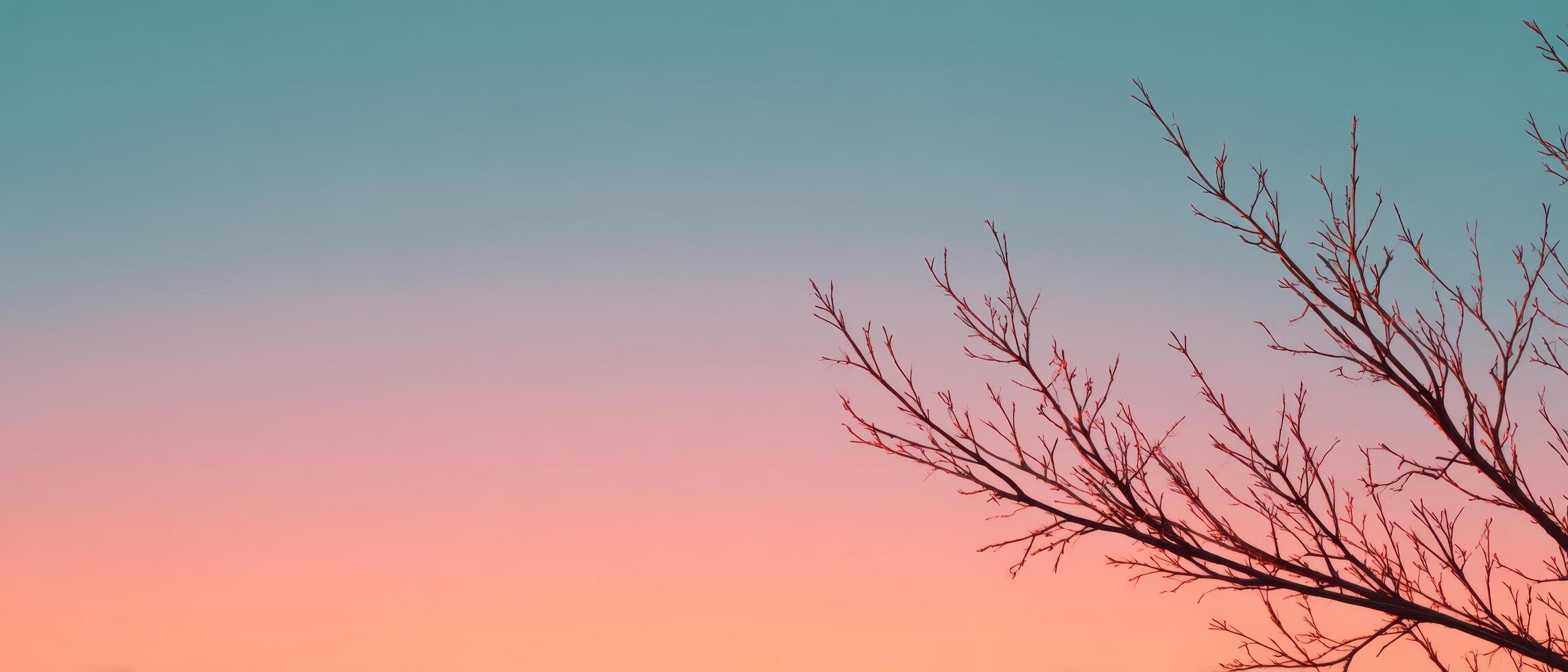 Silhouette of tree branches against a colorful sunset sky minimalist nature photography photo