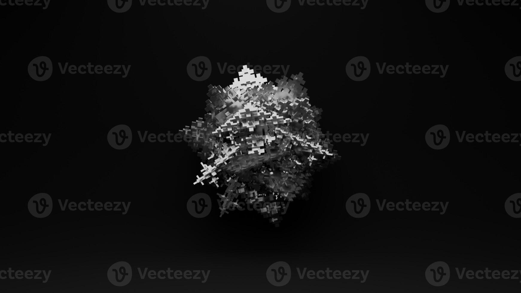 A black and white image of a tree photo