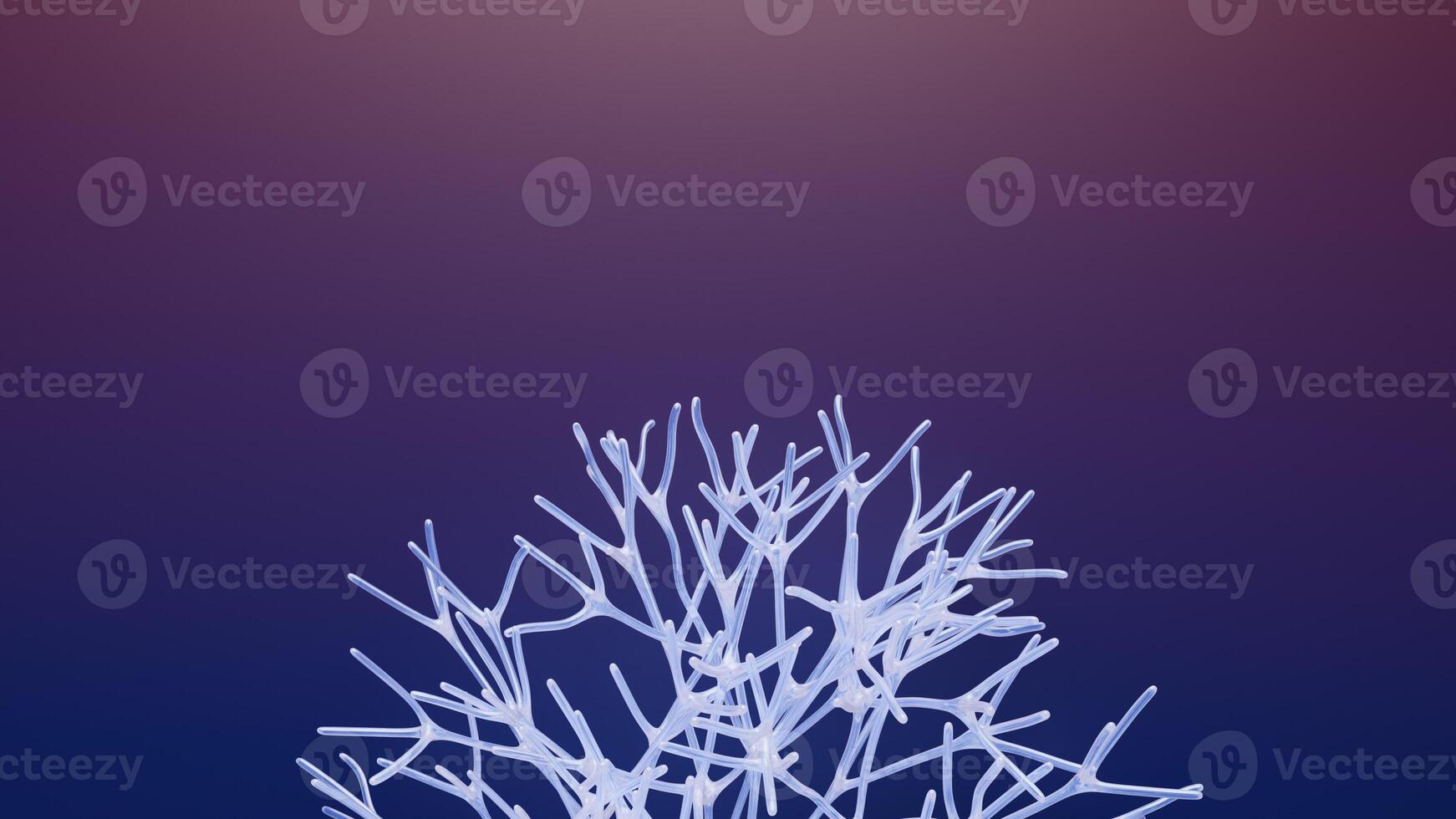 A tree with branches and leaves on a purple background photo