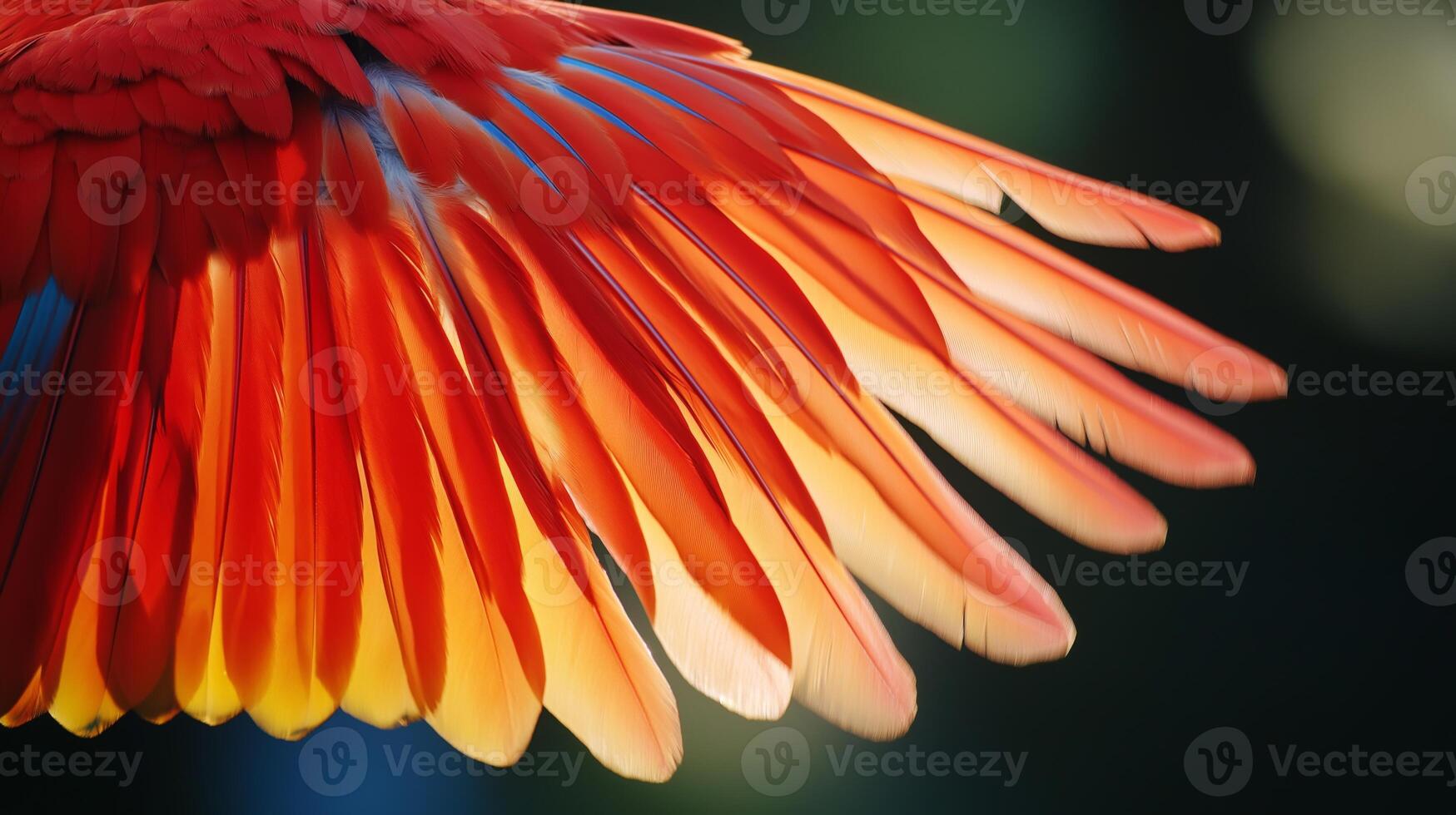 Bright parrot wings display stunning gradients of color in lush green surroundings under sunlight. photo