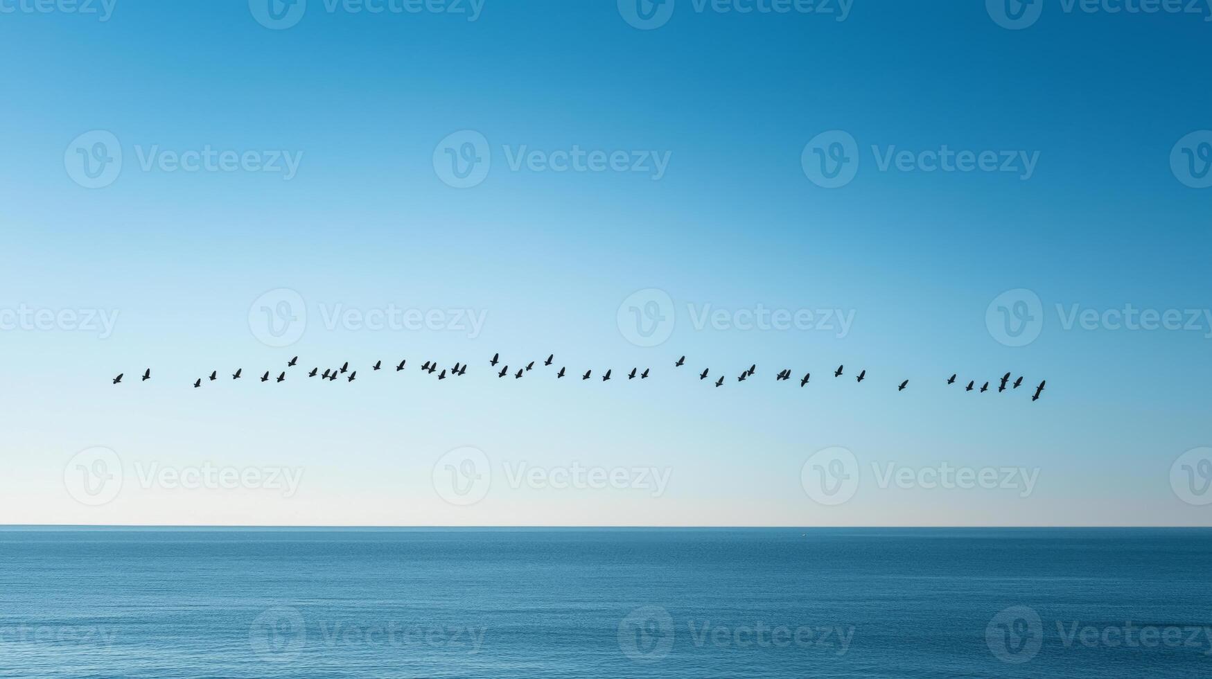 A group of birds is flying gracefully in a line above the serene ocean waves on a clear day. photo