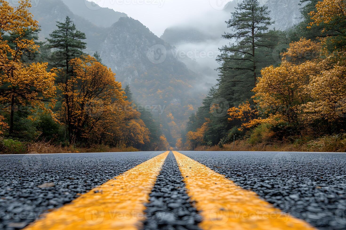 Autumn Mountain Road - Serene Landscape for Travel Posters and Nature-Themed Designs photo