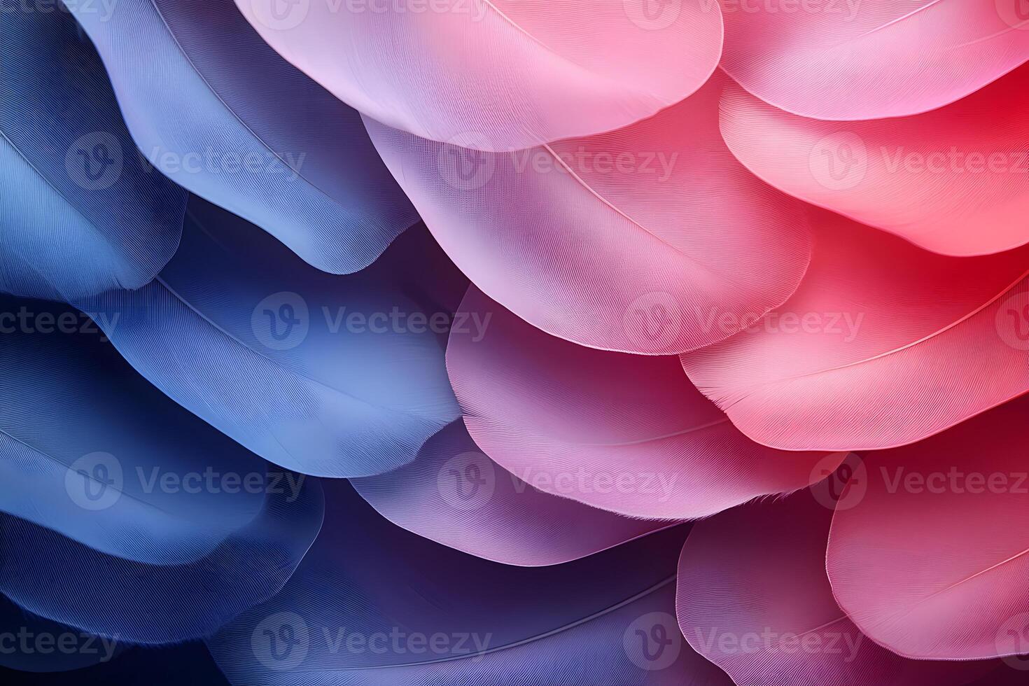 Abstract Pastel Feather Texture - Perfect for Elegant Backgrounds and Creative Designs photo