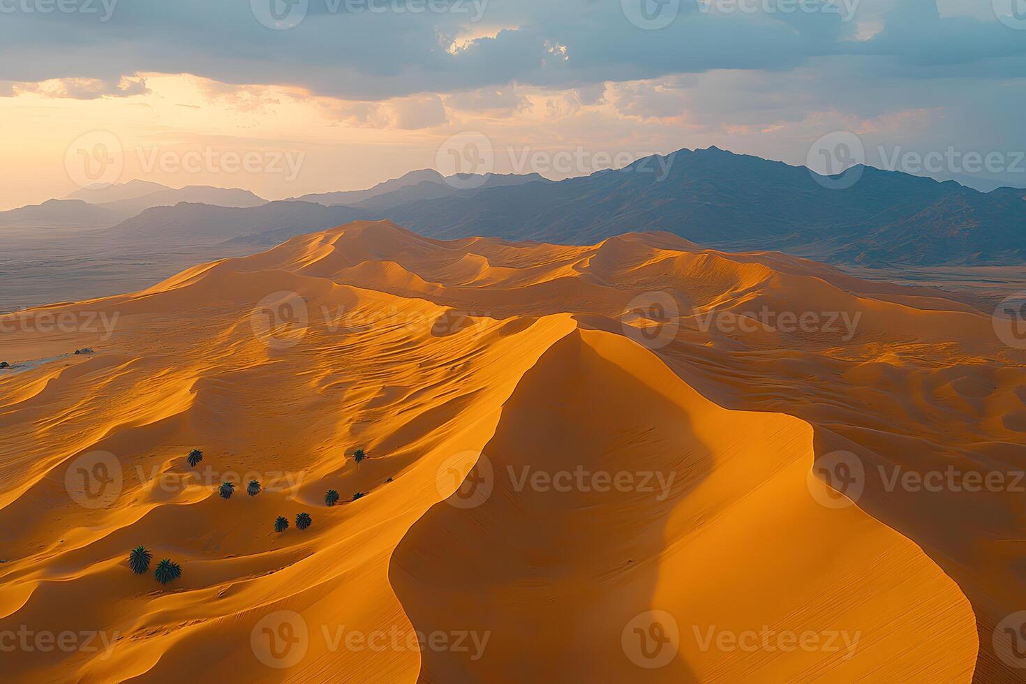 Golden Desert Dunes at Sunset with Mountains in the Distance photo