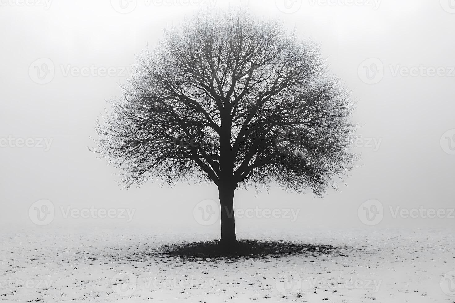 Solitary Tree in Winter Fog - Nature, Tranquility, Minimalism, Solitude, Scenic Landscape Photography photo