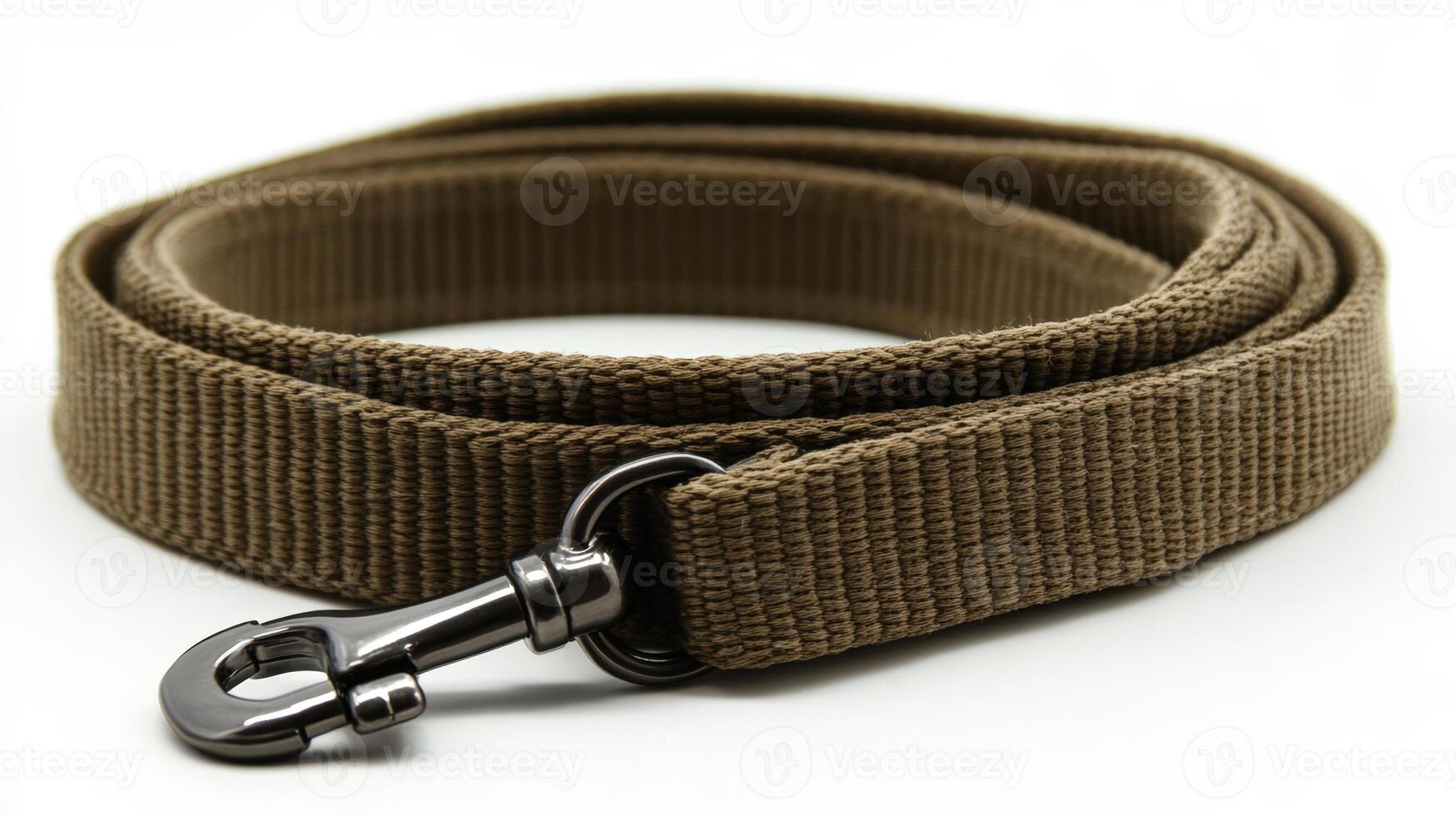 A brown dog leash with a metal clasp photo