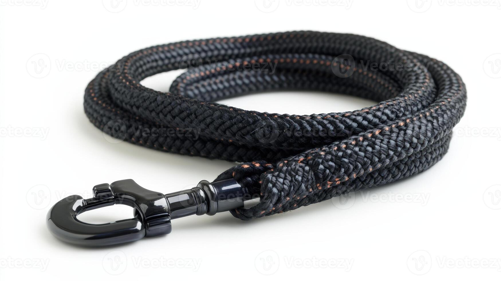 A black dog leash with a metal hook. photo