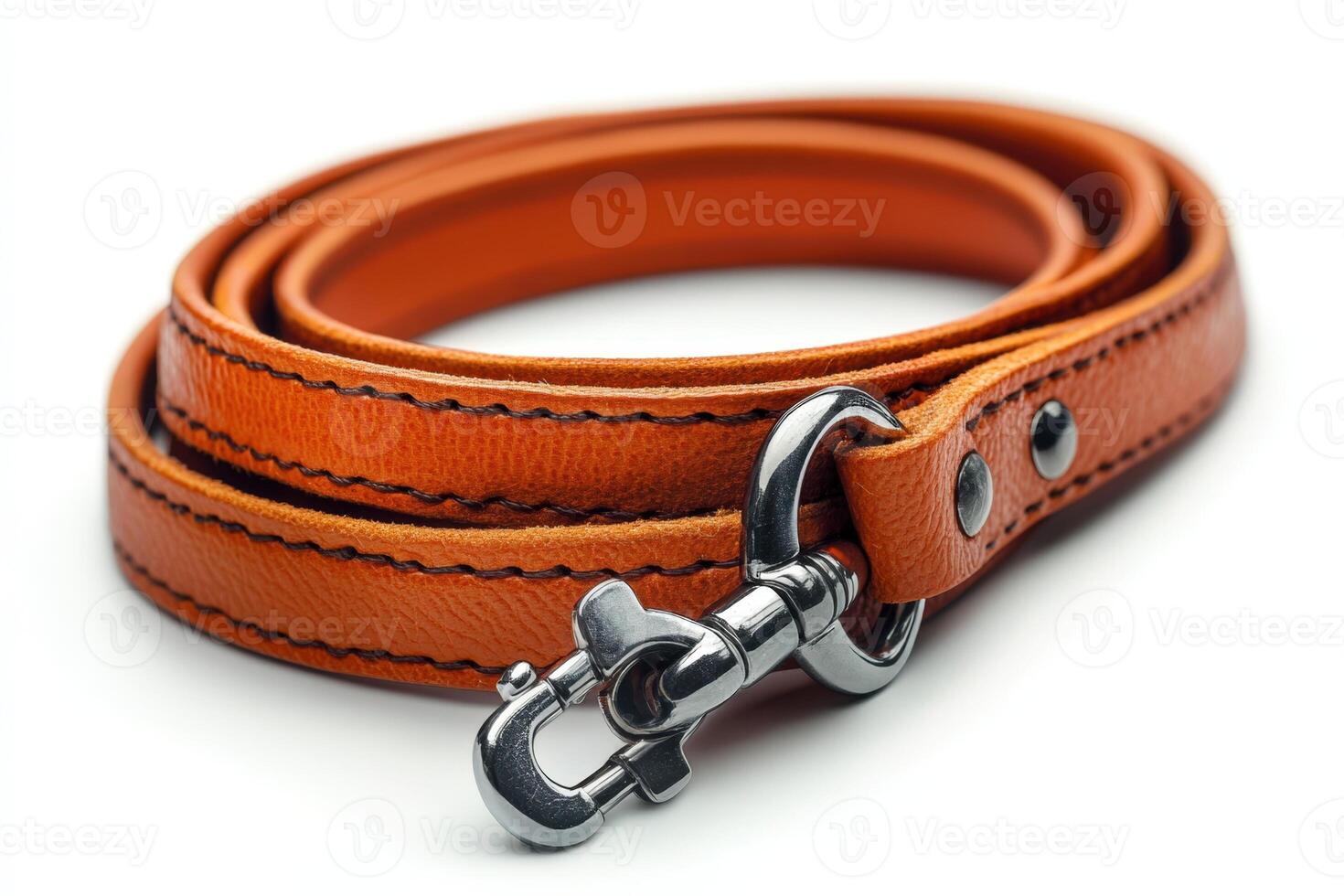 A close up of a leather leash with a metal clasp photo