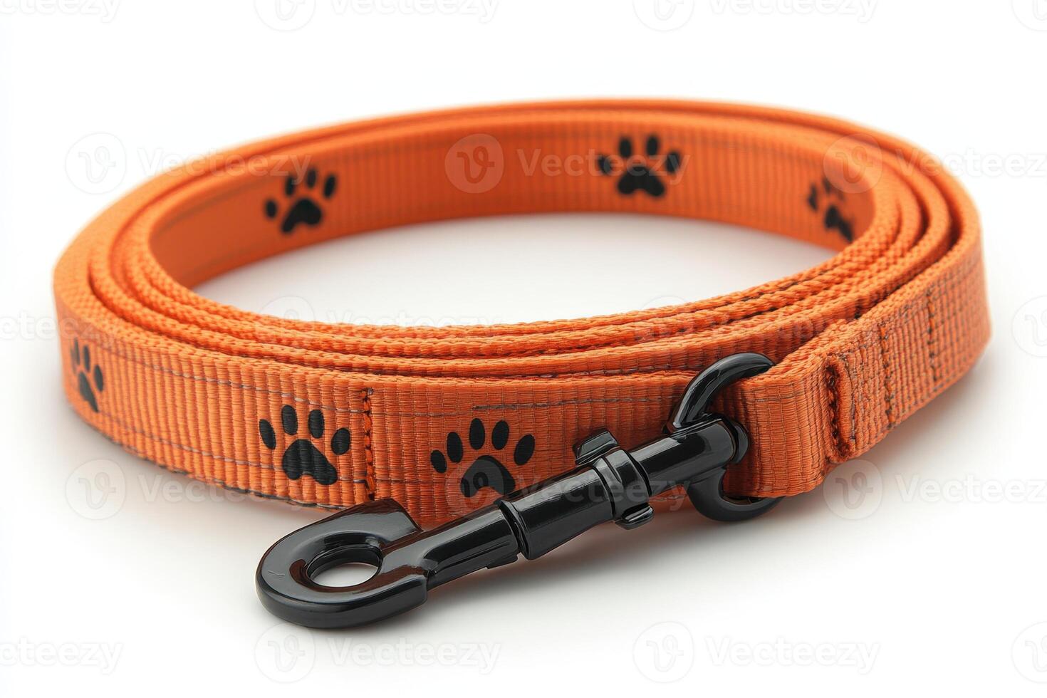 An orange dog leash with black paw prints. photo