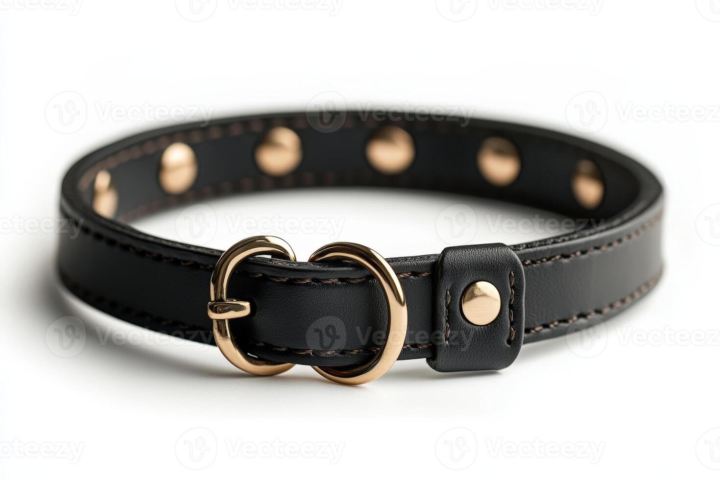The black leather dog collar has gold rivets and a gold buckle photo