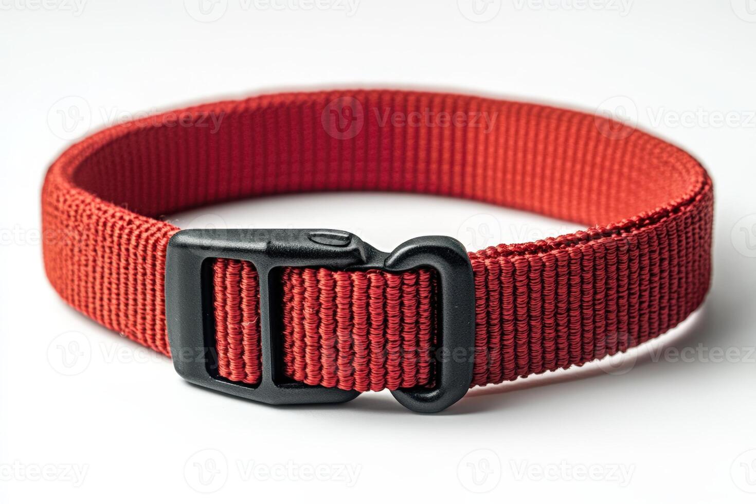 A red nylon belt with black buckle photo