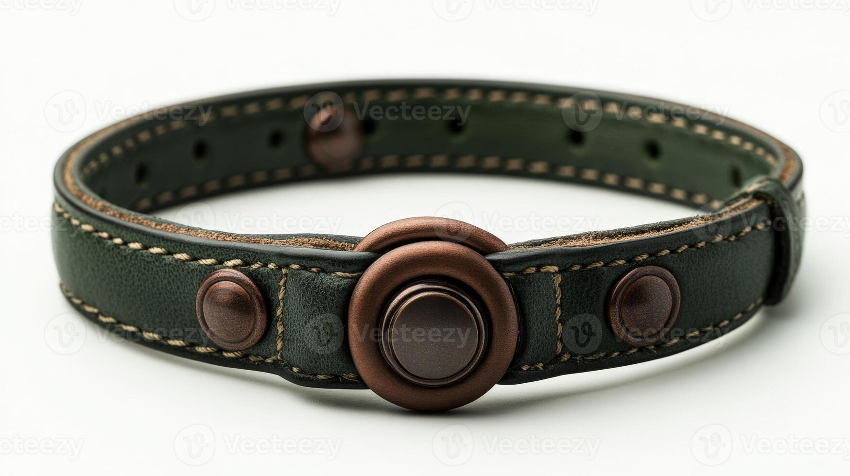 The green leather collar has a brown button photo