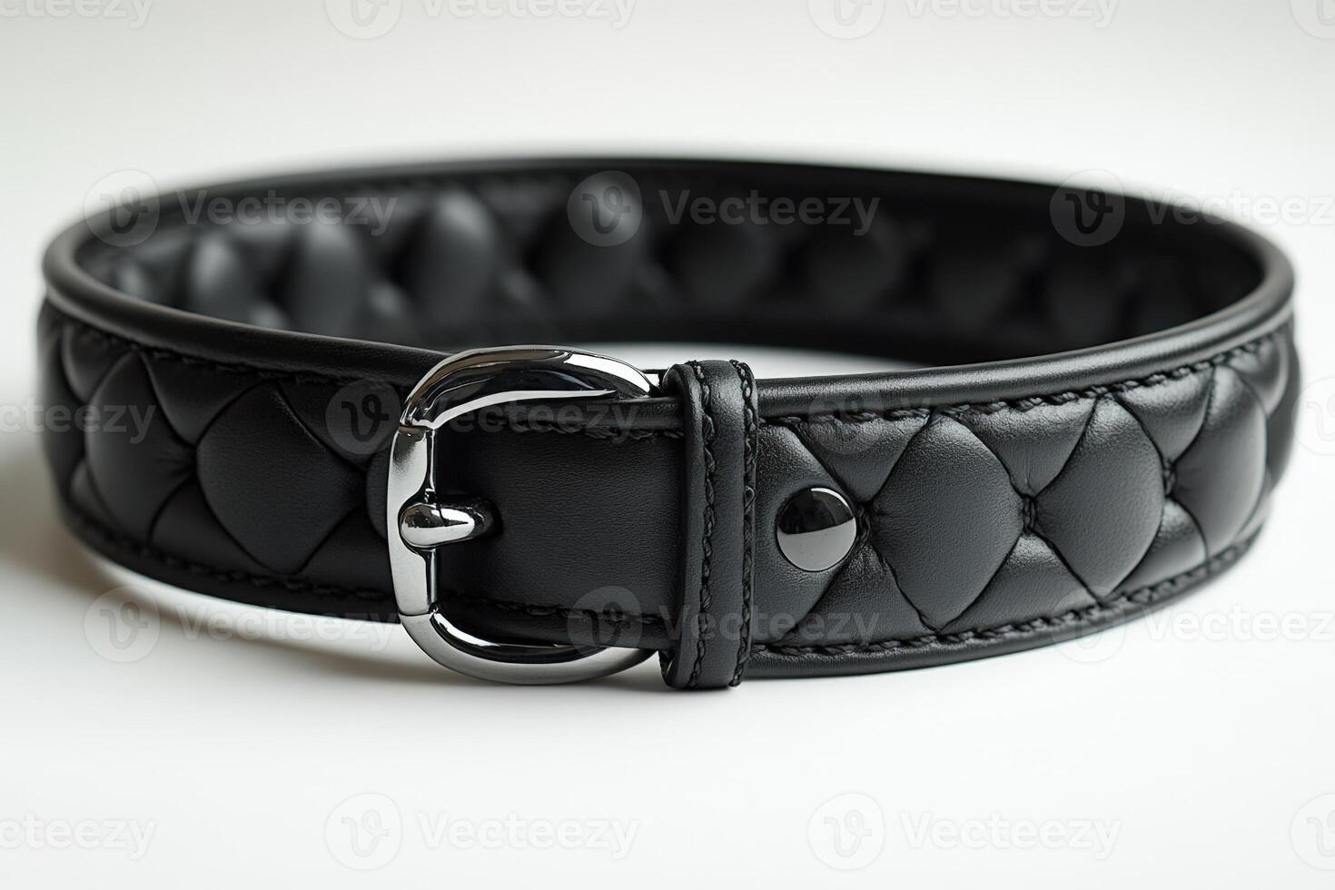 A black leather dog collar with a buckle photo