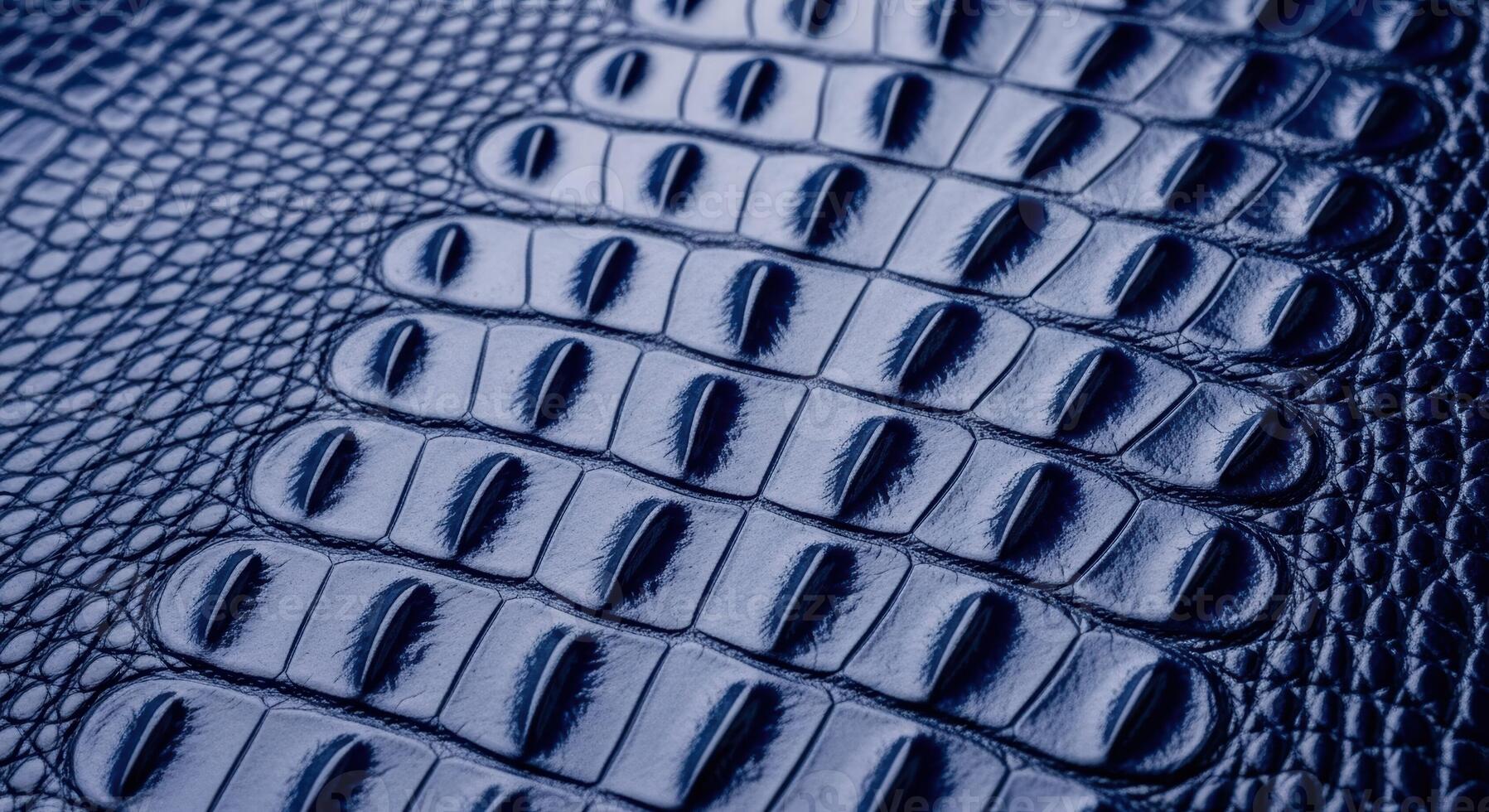 Deep blue glossy crocodile skin texture with detailed scales and exotic pattern photo