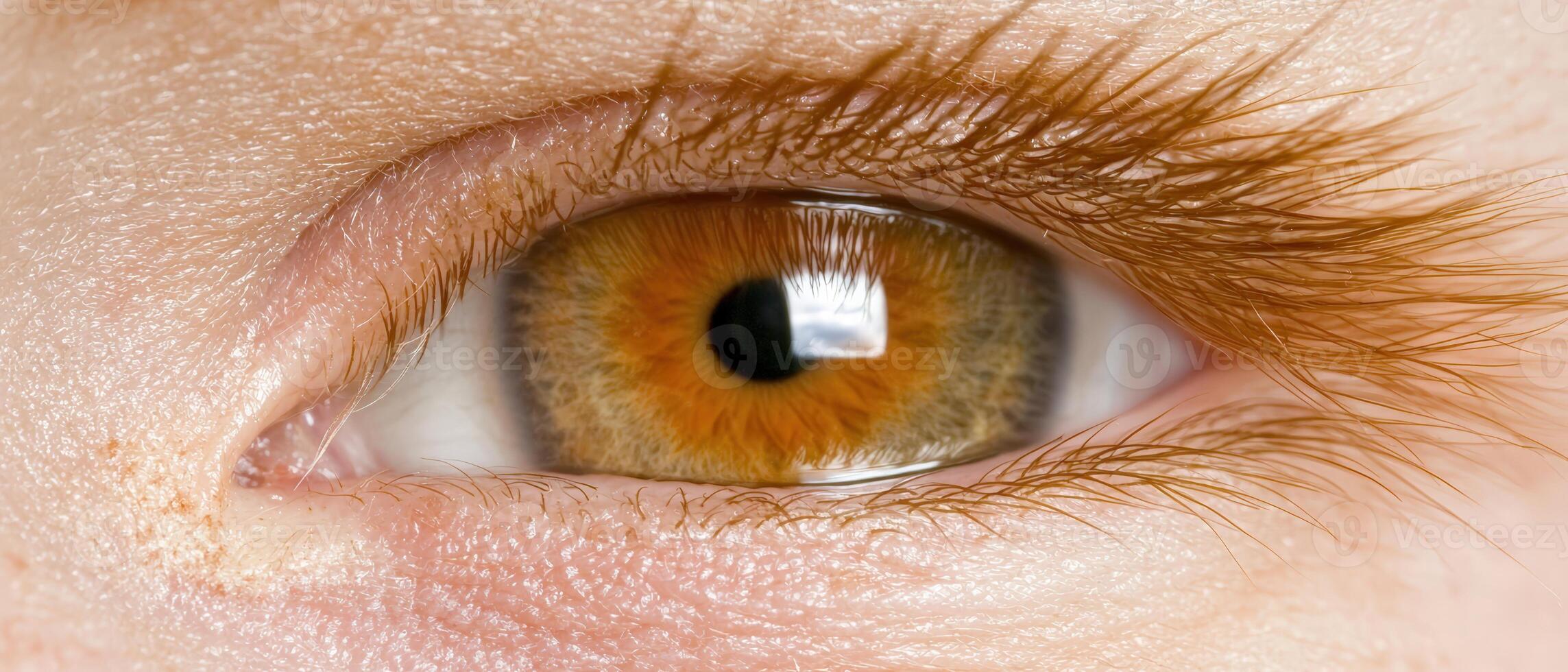 Detailed close up of a hazel eye with long lashes photo