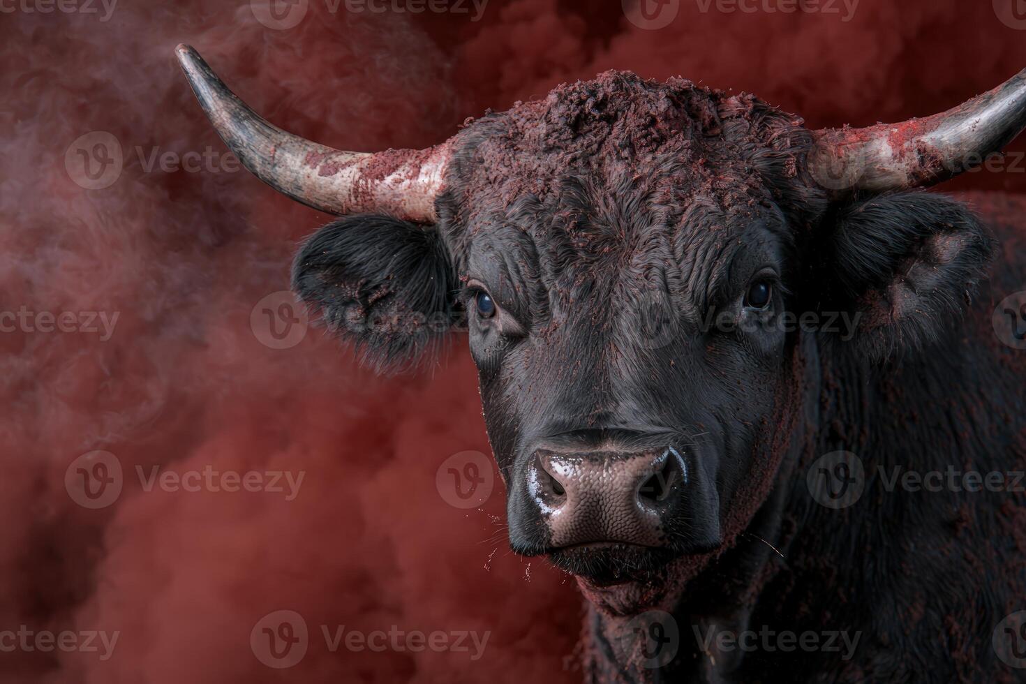 Powerful black bull with imposing horns in red smoke photo