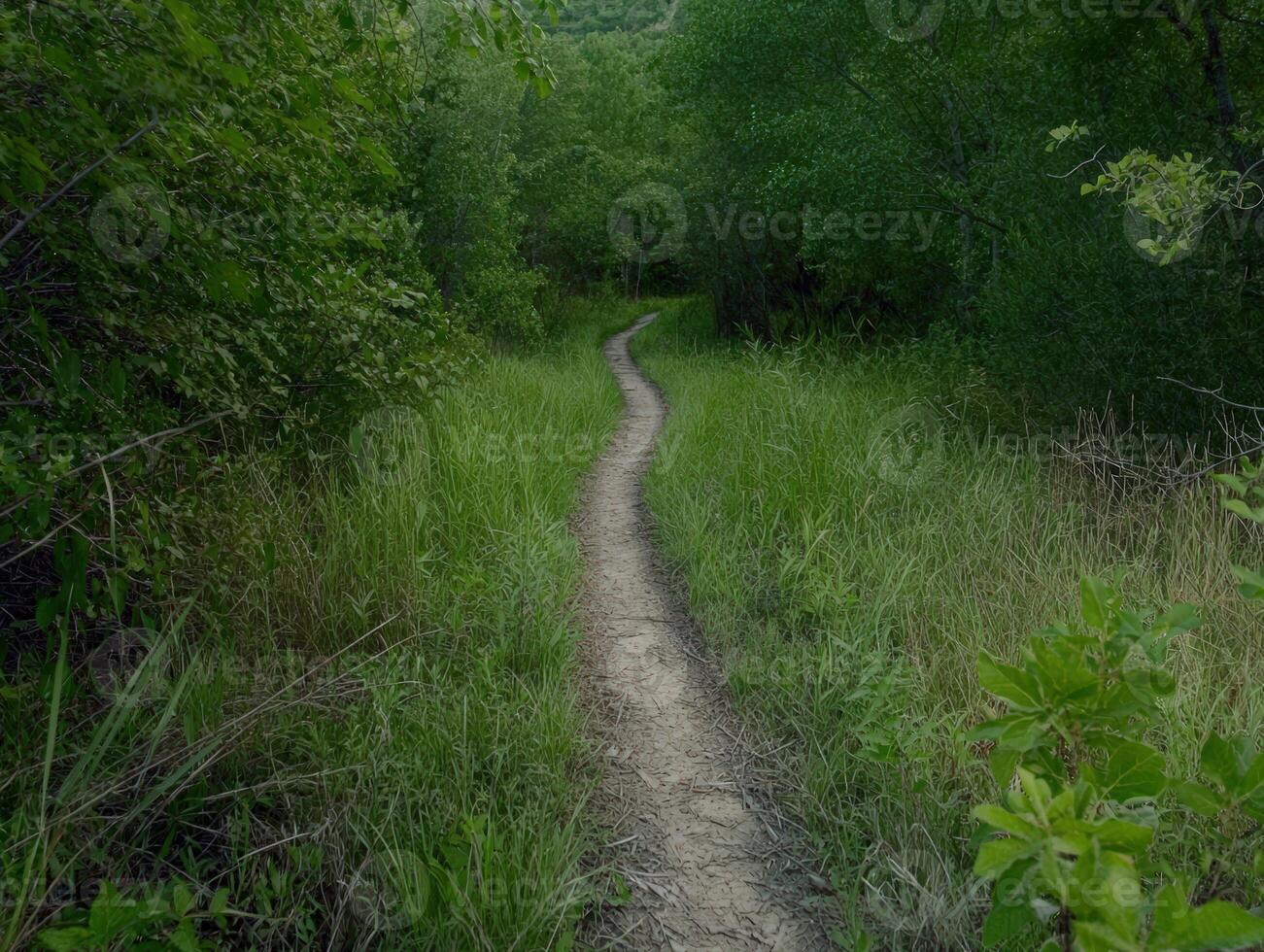 Winding dirt path through lush green meadow and forest photo