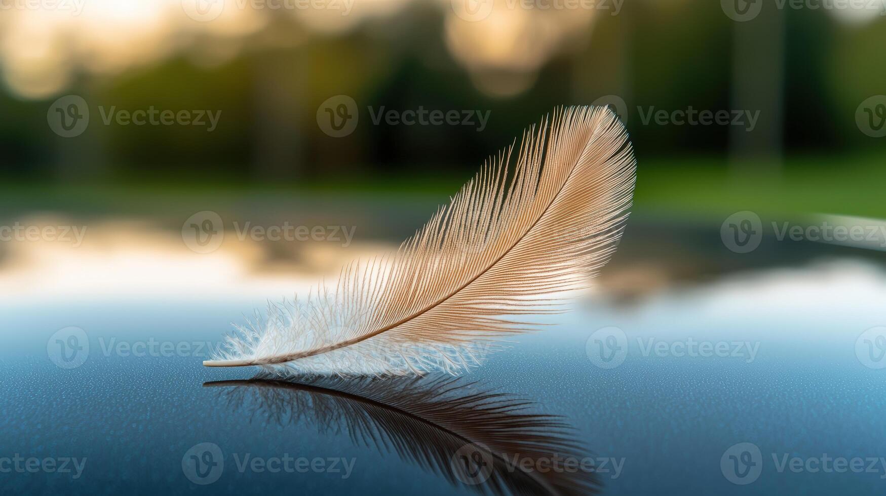 Delicate feather rests on a glossy, reflective surface photo
