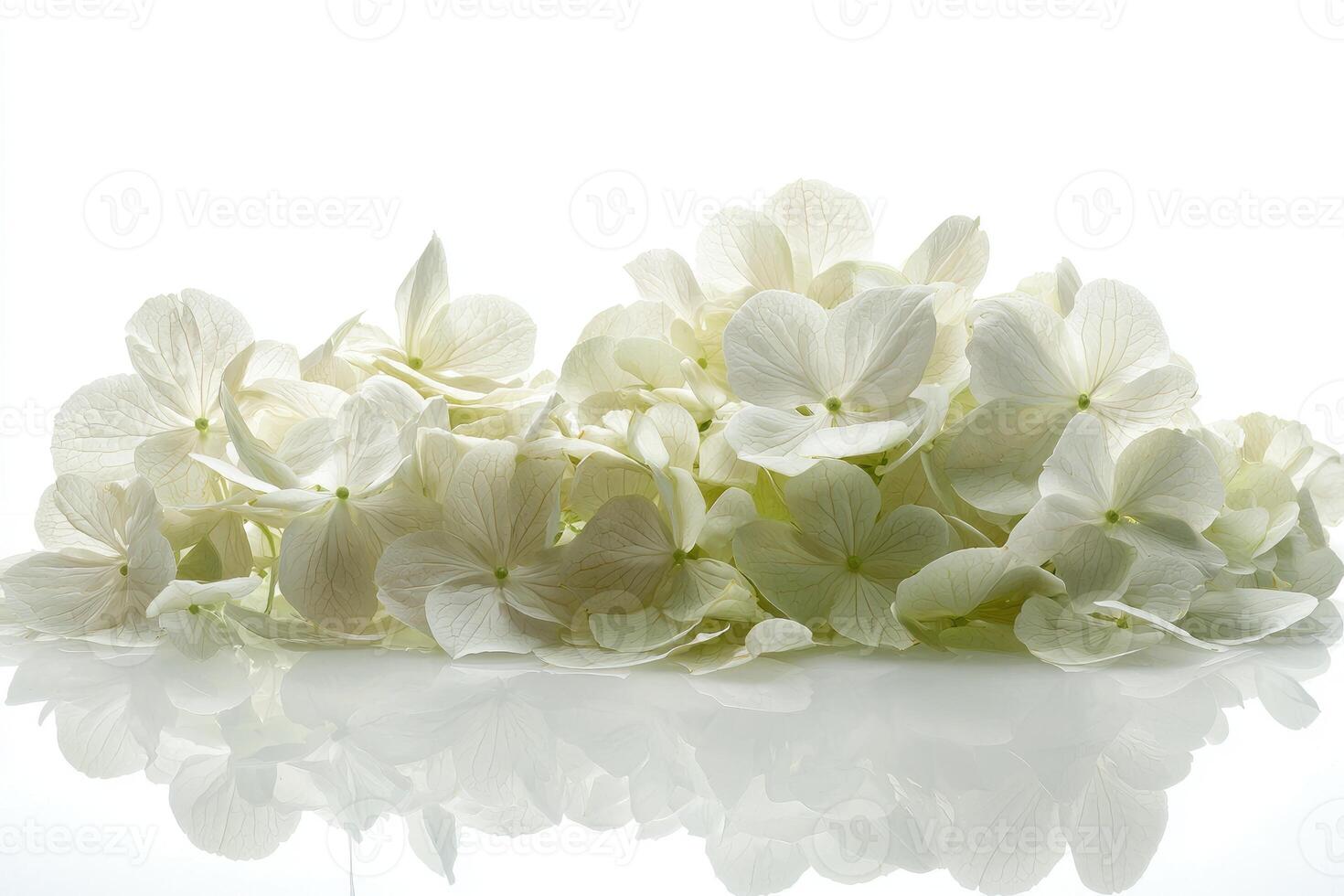 Beautiful white flower blooms and delicate reflections on a smooth surface photo