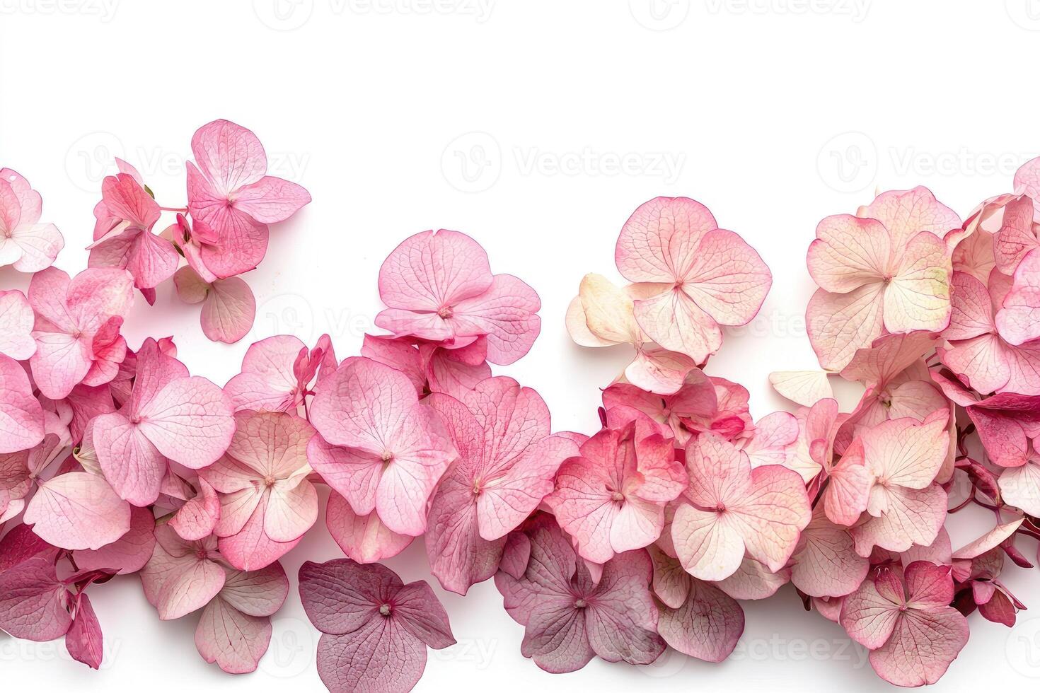 Delicate pink flowers arranged on a white surface in a soft display photo