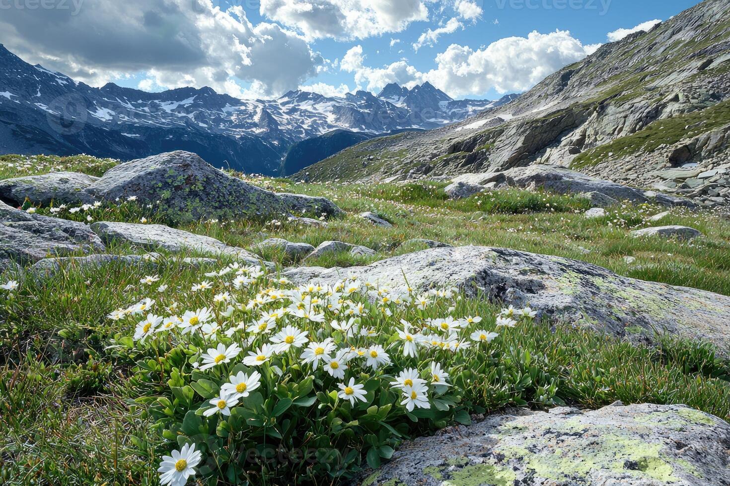 A beautiful mountain scene featuring flowers and rock formations photo