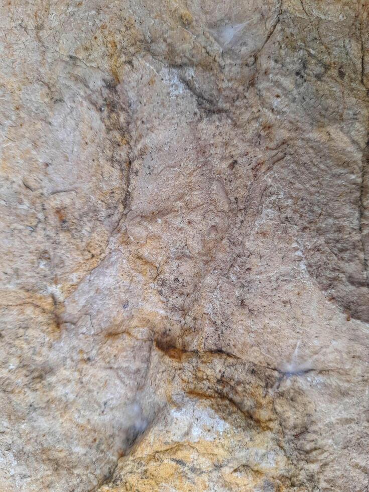 Rough stone texture with natural grey, white, and rusty brown patterns, ideal for backgrounds, design materials photo