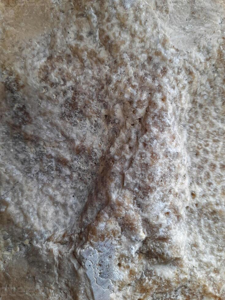 Rough stone texture with natural grey, white, and rusty brown patterns, ideal for backgrounds, design materials, and nature-themed visuals photo