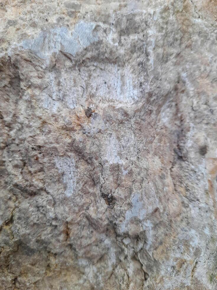 Rough stone texture with natural grey, white, and rusty brown patterns, ideal for backgrounds, and nature themed visuals. photo