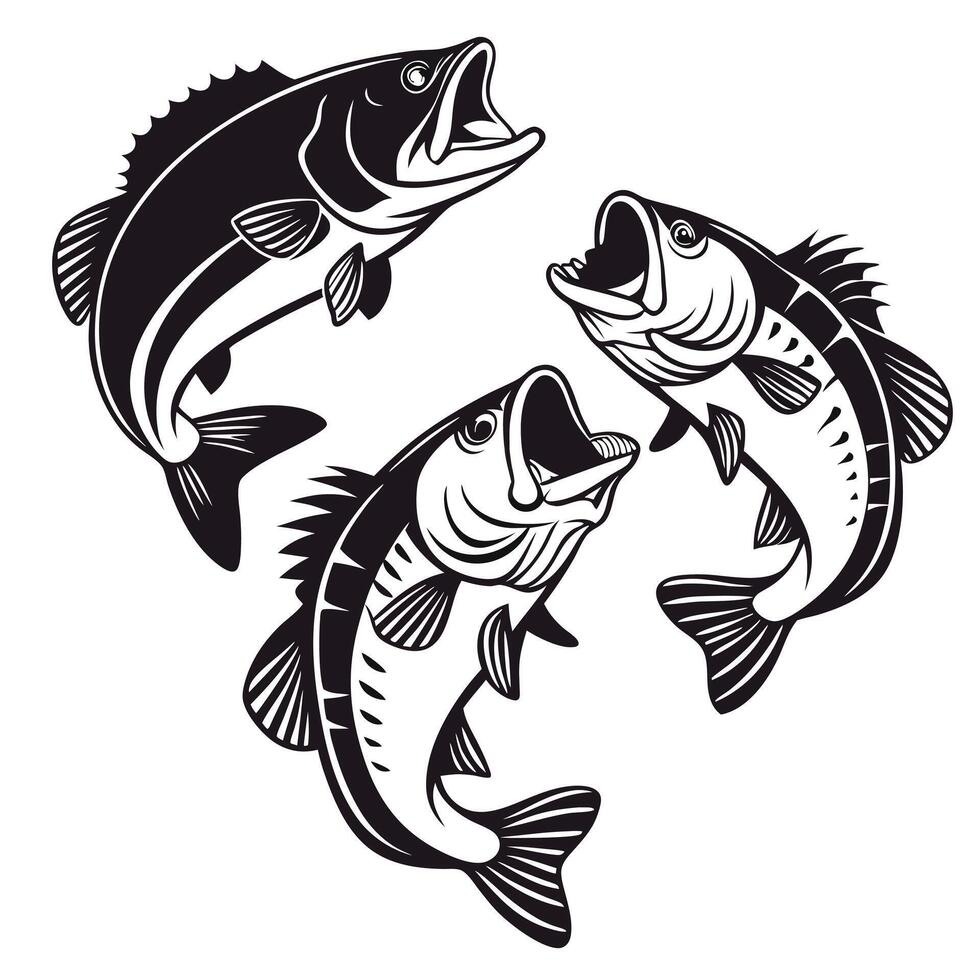 Three jumping bass fish illustration in black and white for fishing designs vector