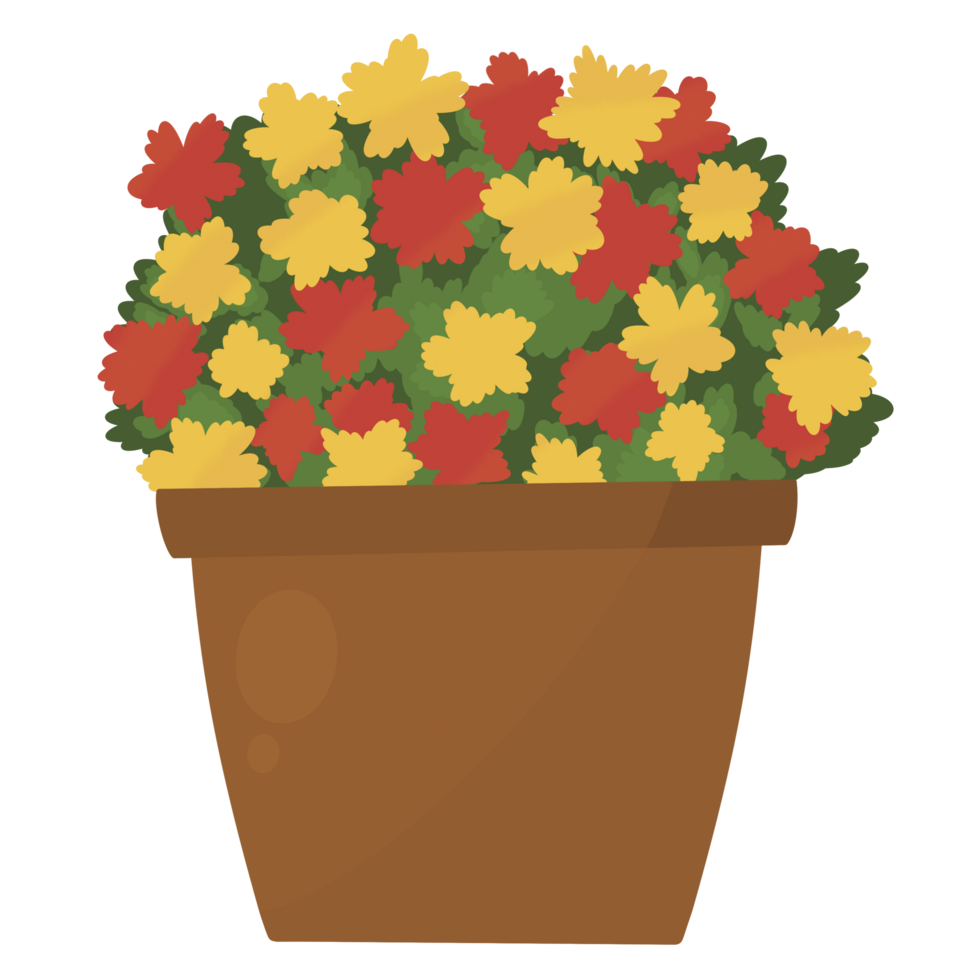 Yellow red flowers in a pot png