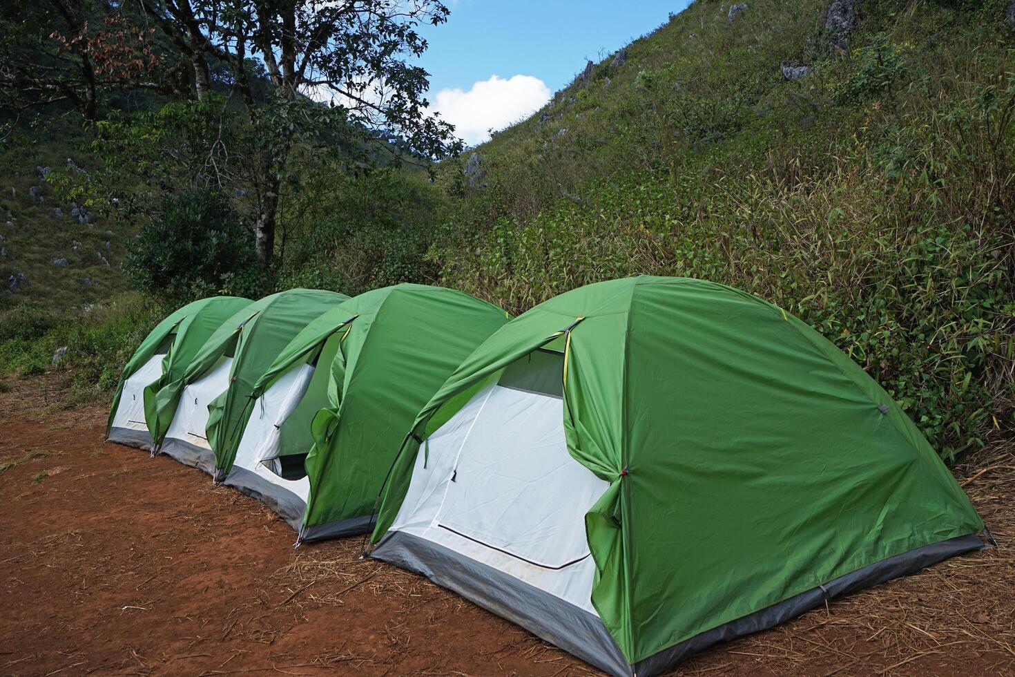 Green camping tents among natural landscape of green forest park photo