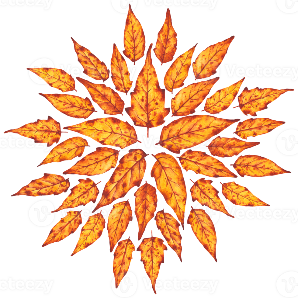 Watercolor composition of autumn leaves arranged in a sun-like circular pattern. Warm orange and brown tones evoke a cozy fall mood. Ideal for seasonal design and decoration. png