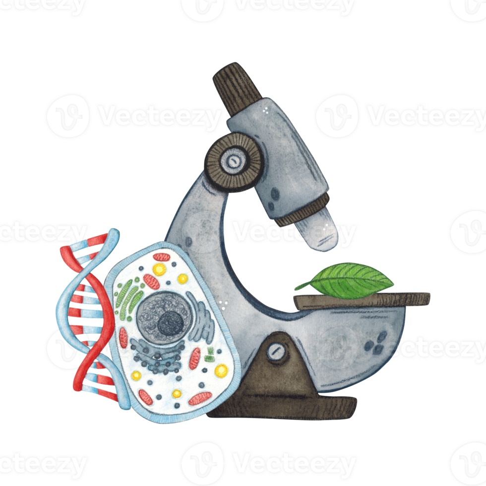 Composition of microscope, cell and DNA molecule. Watercolor illustration hand drawn, cartoon. Drawing for stickers, posters, postcard blanks, scrapbooking, journaling. science, laboratory, equipment png