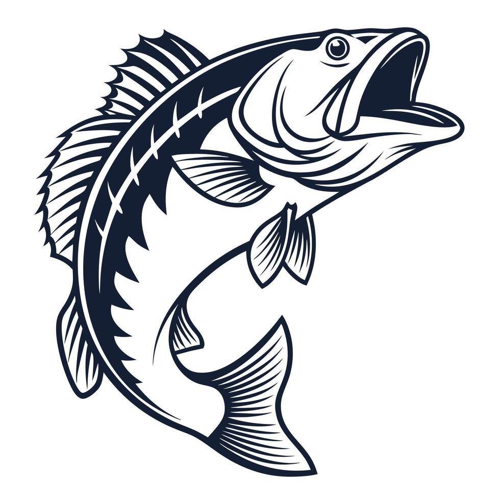 Jumping bass fish outline illustration isolated on white background angling or fishing sport vector