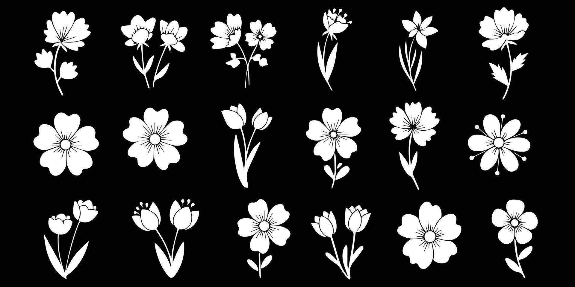 Collection of white floral illustrations on black background spring flower graphics vector