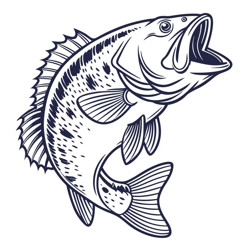 Detailed monochrome illustration of a jumping bass fish with an open mouth vector