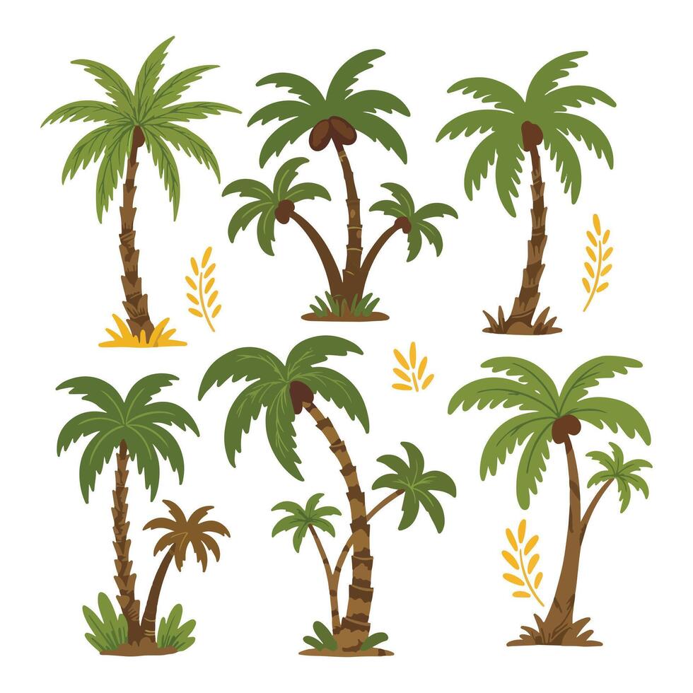 Set of cute cartoon palm trees with coconuts and decorative elements in format design vector