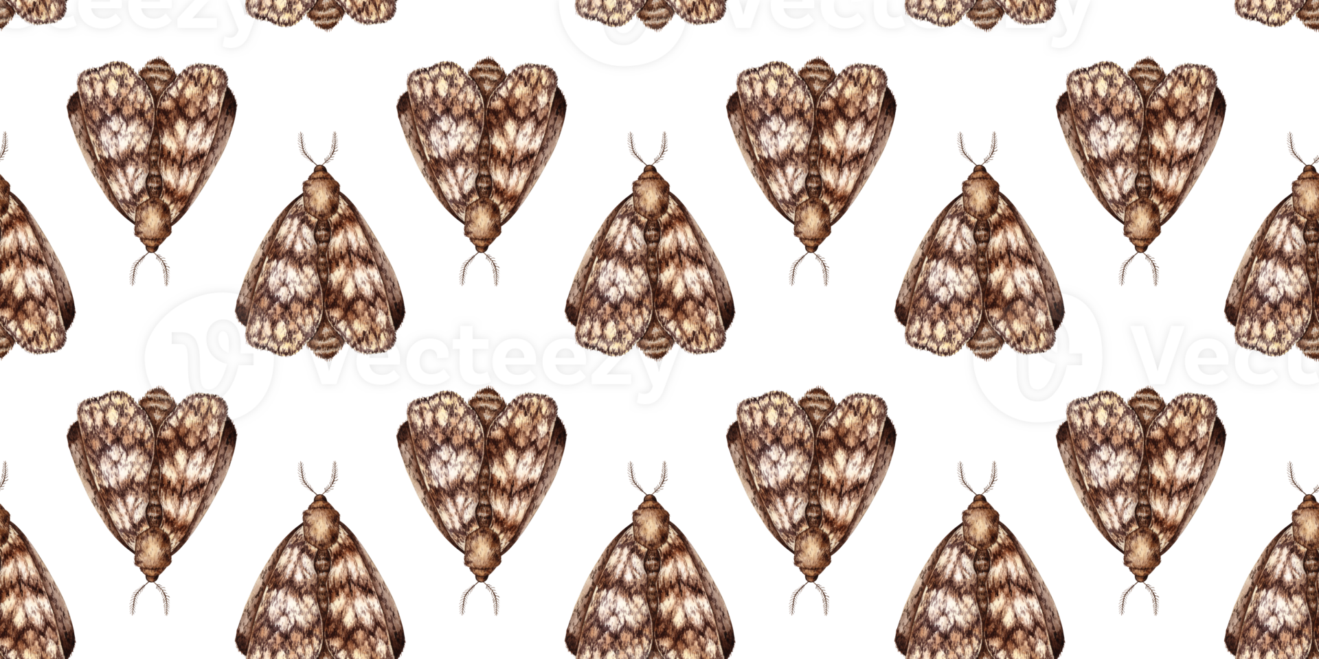 Gray-brown moth, with folded wings watercolor illustration. Insect Lepidoptera, isolated from the background. Pattern is ideal for textiles, wallpaper, wrapping paper. png