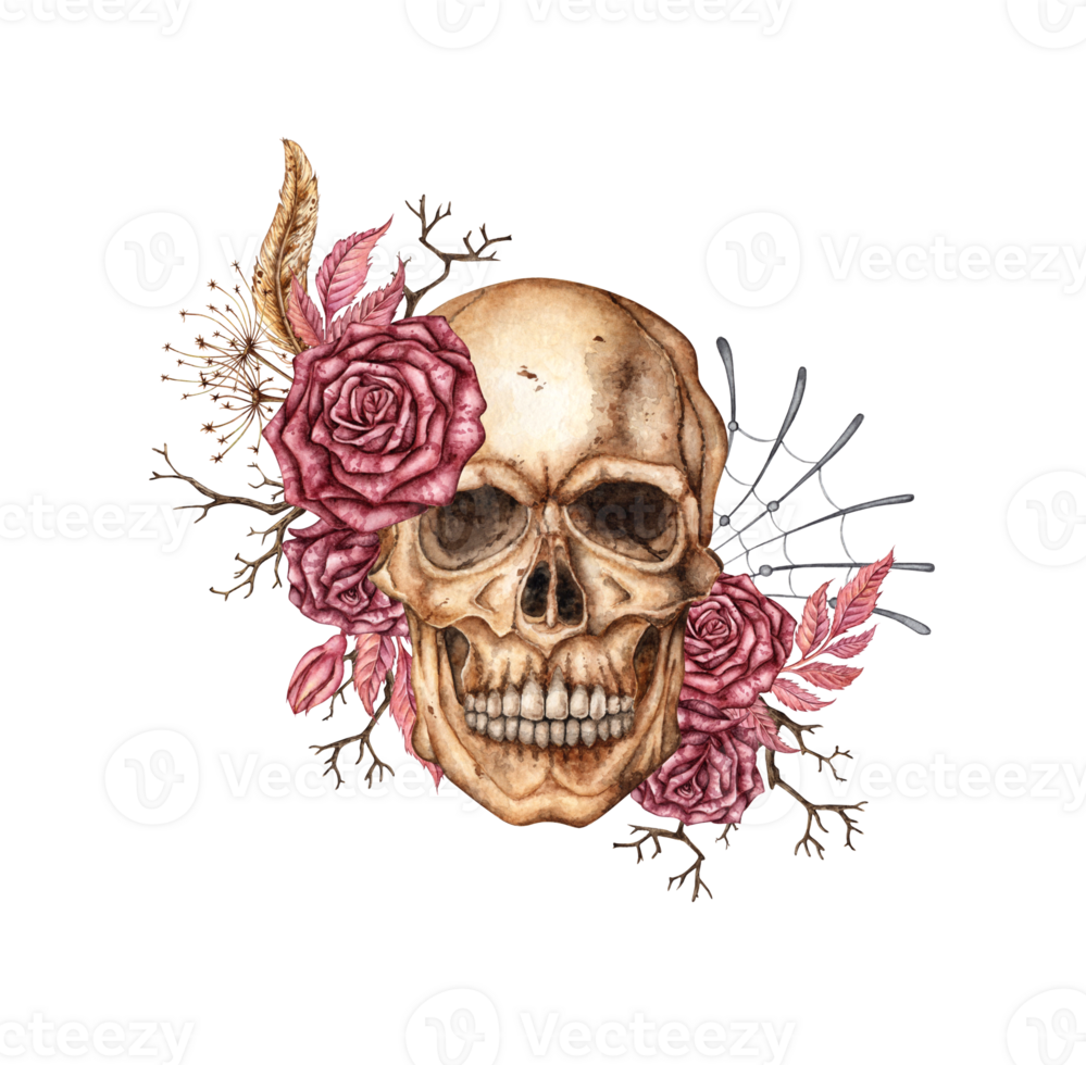 Skull face with dark red roses, dried flowers, branches and cobwebs watercolor illustration. Bones in gothic style. Day of the Dead, Halloween, Dia de los muertos. Isolated from background. Symbolism png