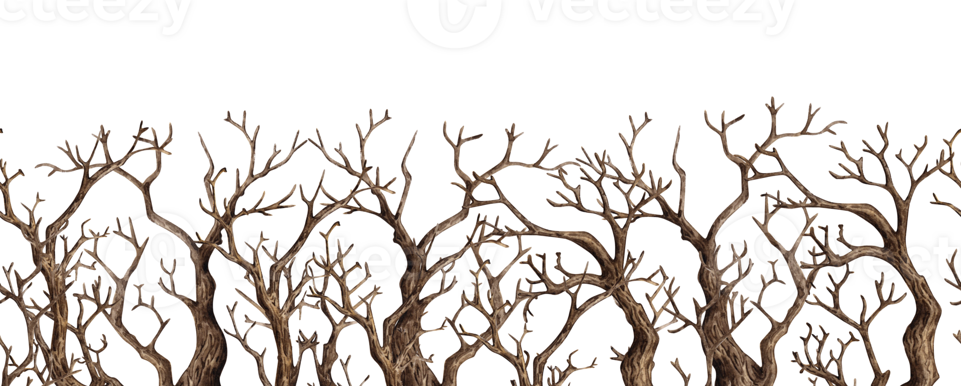 Tree without leaves, with dry bare branches watercolor illustration. Gothic autumn decoration of branches for Halloween. Countryside isolated from background. For seasonal design border, png