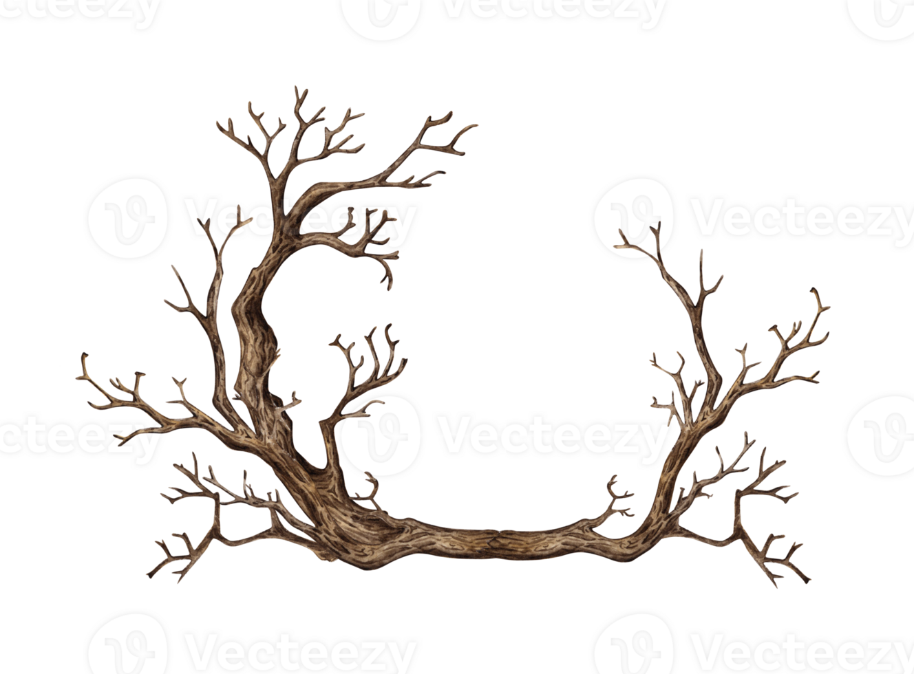 Tree without leaves, with dry bare branches watercolor illustration. Gothic autumn decoration branches for Halloween. Countryside isolated from background. For seasonal design border, framing, frame png
