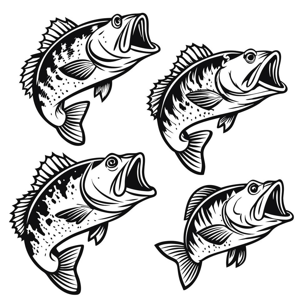 Monochrome illustration featuring four largemouth bass with detailed line work perfect for fishing themes vector