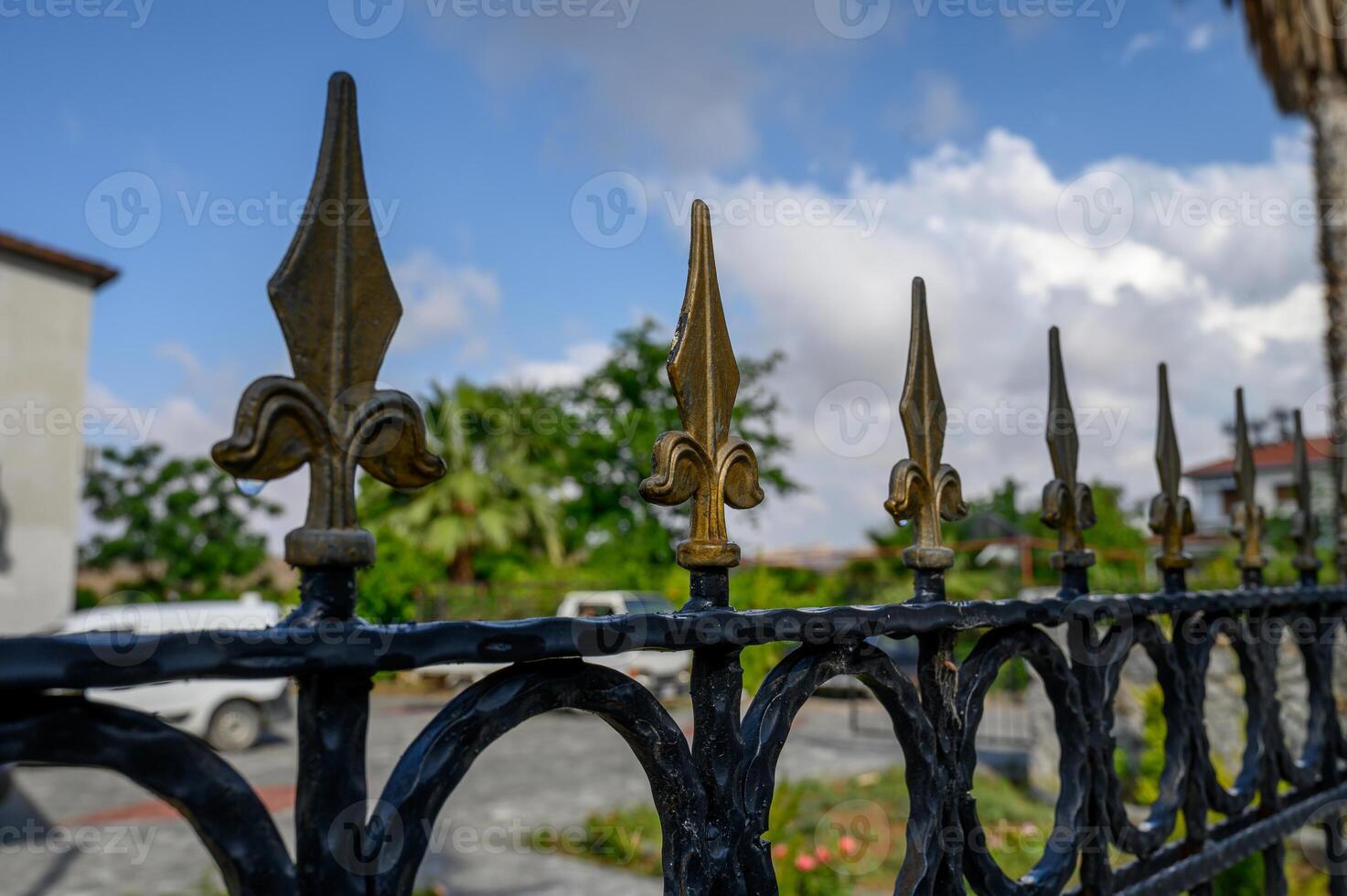 Close-up of Fence Elements photo