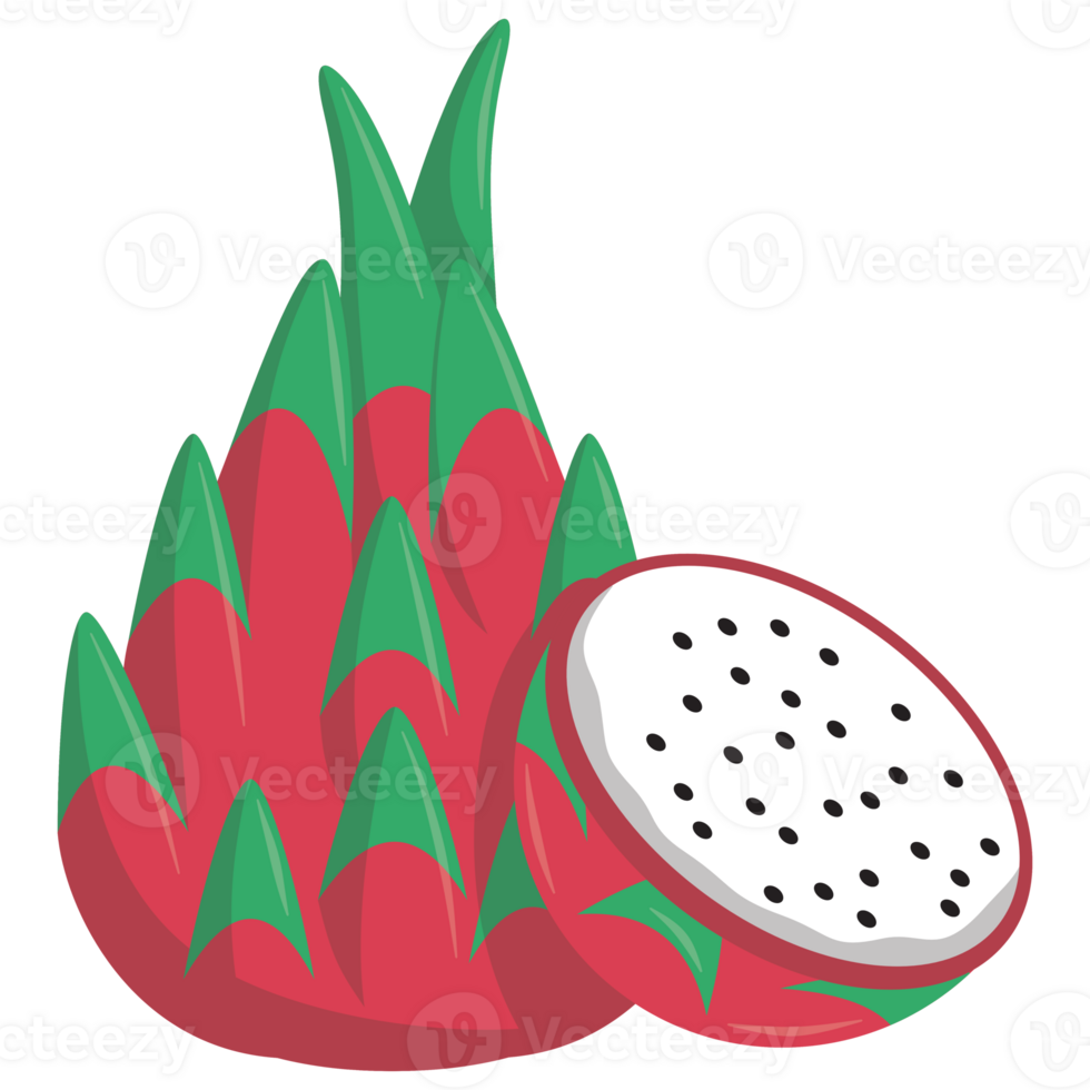 Dragon Fruit Flat Illustration png