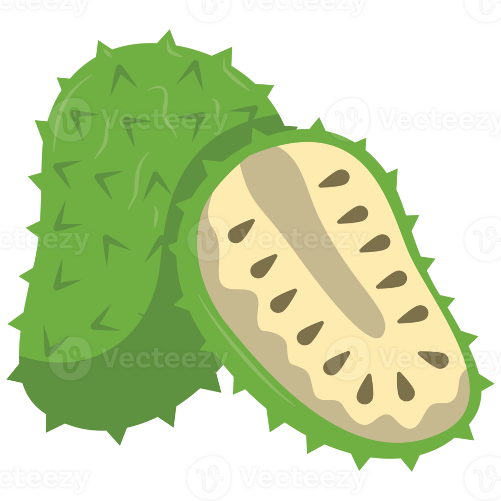 Soursop Flat Illustration png