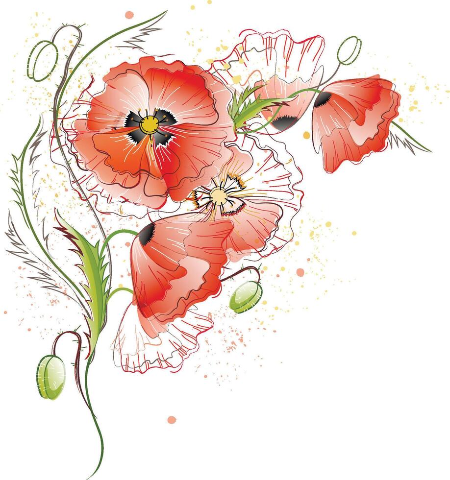 Greeting card with red gentle poppy flowers on white background vector