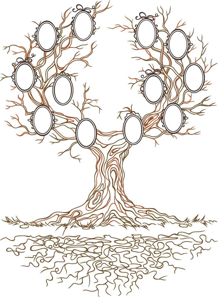Linear graphic old big stale branchy tree with frames for family portraits vector