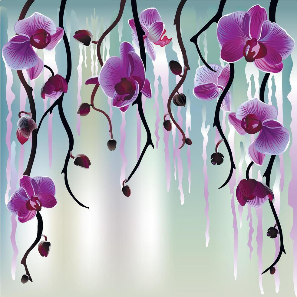 Purple orchids hanging with vines vector
